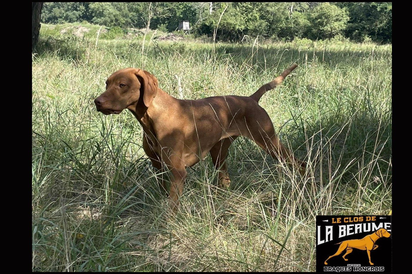 TR. Tess Du clos de la beaume